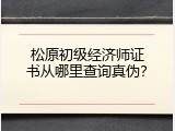 松原初级经济师证书从哪里查询真伪？