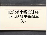哈尔滨中级会计师证书从哪里查询真伪？