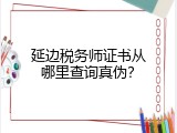 延边税务师证书从哪里查询真伪？