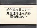 哈尔滨企业人力资源管理师证书从哪里查询真伪？
