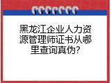 黑龙江企业人力资源管理师证书从哪里查询真伪？