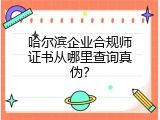 哈尔滨企业合规师证书从哪里查询真伪？