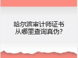 哈尔滨审计师证书从哪里查询真伪？