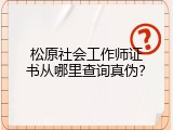 松原社会工作师证书从哪里查询真伪？