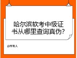 哈尔滨软考中级证书从哪里查询真伪？