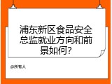 浦东新区食品安全总监就业方向和前景如何？