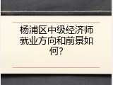 杨浦区中级经济师就业方向和前景如何？