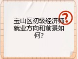 宝山区初级经济师就业方向和前景如何？
