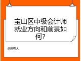宝山区中级会计师就业方向和前景如何？