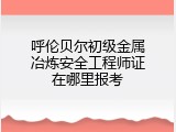 呼伦贝尔初级金属冶炼安全工程师证在哪里报考
