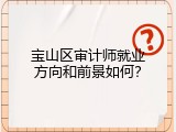 宝山区审计师就业方向和前景如何？
