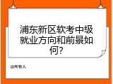 浦东新区软考中级就业方向和前景如何？