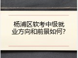 杨浦区软考中级就业方向和前景如何？