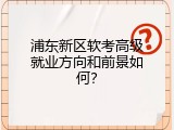 浦东新区软考高级就业方向和前景如何？