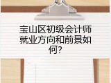 宝山区初级会计师就业方向和前景如何？