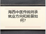 海西中医传统师承就业方向和前景如何？