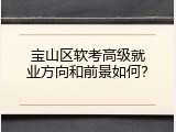 宝山区软考高级就业方向和前景如何？