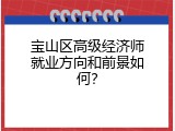宝山区高级经济师就业方向和前景如何？