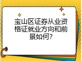 宝山区证券从业资格证就业方向和前景如何？