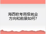 海西软考高级就业方向和前景如何？
