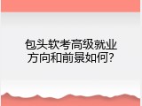 包头软考高级就业方向和前景如何？