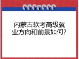 内蒙古软考高级就业方向和前景如何？