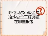 呼伦贝尔中级金属冶炼安全工程师证在哪里报考