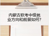 内蒙古软考中级就业方向和前景如何？