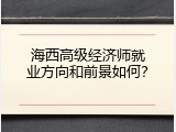 海西高级经济师就业方向和前景如何？