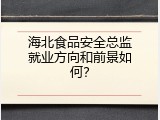 海北食品安全总监就业方向和前景如何？