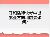 呼和浩特软考中级就业方向和前景如何？