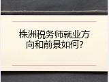 株洲税务师就业方向和前景如何？
