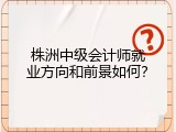 株洲中级会计师就业方向和前景如何？