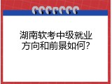 湖南软考中级就业方向和前景如何？