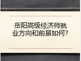 岳阳高级经济师就业方向和前景如何？