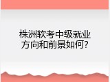 株洲软考中级就业方向和前景如何？
