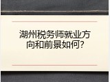 湖州税务师就业方向和前景如何？