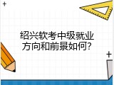 绍兴软考中级就业方向和前景如何？