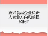 嘉兴食品企业负责人就业方向和前景如何？