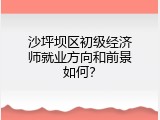 沙坪坝区初级经济师就业方向和前景如何？