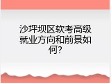 沙坪坝区软考高级就业方向和前景如何？