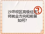 沙坪坝区高级经济师就业方向和前景如何？