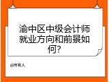 渝中区中级会计师就业方向和前景如何？