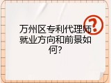 万州区专利代理师就业方向和前景如何？