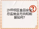 沙坪坝区食品安全总监就业方向和前景如何？