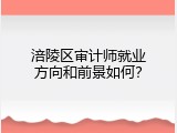 涪陵区审计师就业方向和前景如何？