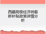 西藏高级经济师最新补贴政策详情分析
