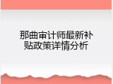 那曲审计师最新补贴政策详情分析