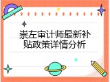 崇左审计师最新补贴政策详情分析