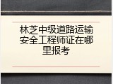 林芝中级道路运输安全工程师证在哪里报考